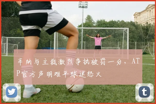辛纳与主裁激烈争执被罚一分,ATP官方声明难平球迷怒火