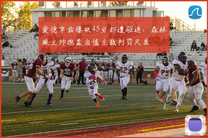 爱德华兹爆砍45分却遭驱逐,森林狼主帅炮轰当值主裁判罚尺度